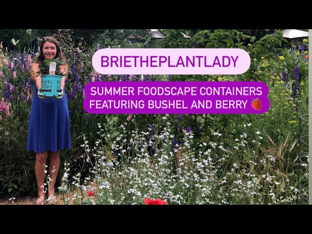 Summer Foodscape Containers with Bushel & Berry Strawberries 🍓