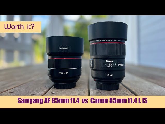 Is it worth the price? Canon 85mm f1.4 vs Samyang 85mm f1.4