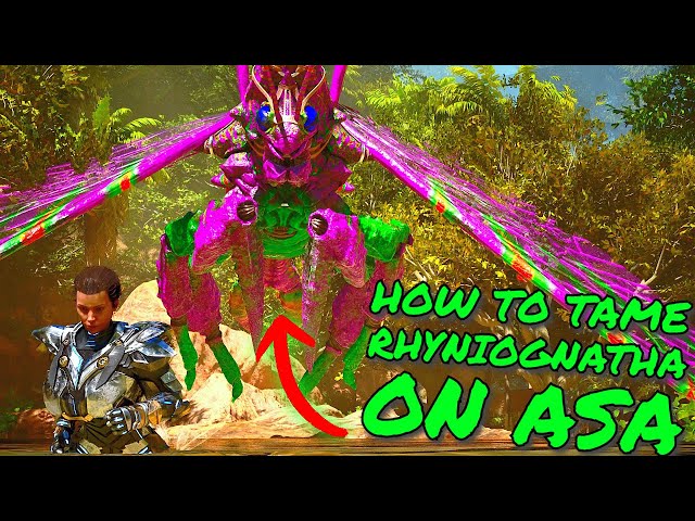 How To FIND and TAME RHYNIOGNATHA on Ark Survival Ascended! ASA Tips and Tricks