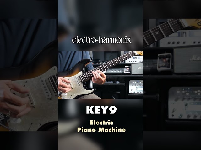 EHX KEY9 Electric Piano Machine Pedal Demo