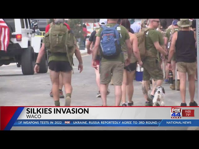 Silkies Invasion in Waco