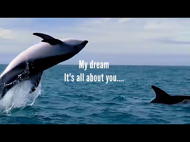 IAkeys_My Dreams feat. Darkzee(Official Lyrics Video)