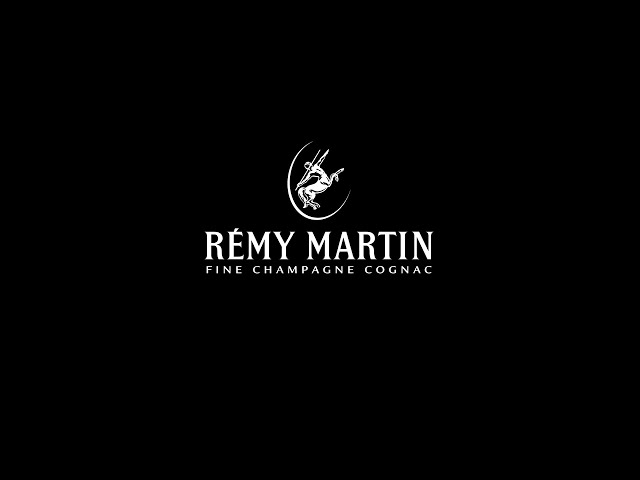 VR - Remy Martin in 360 video