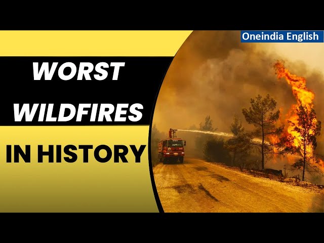 Wildfires: The Big Burn to The Chernobyl Wildfire | Largest wildfire in history | Oneindia News