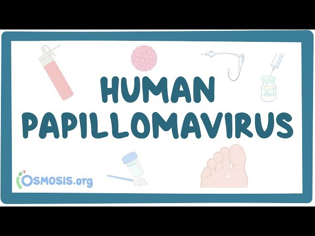 Human papillomavirus or HPV