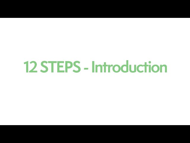 12 STEP INTRO
