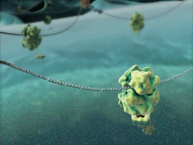 Harvard MCB - BioVisions Lab: The Inner Life of the Cell (Narrated)
