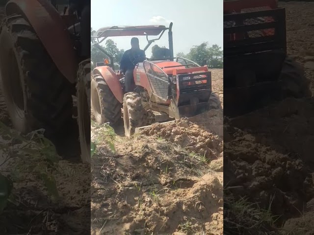 tractor push the sand #short video