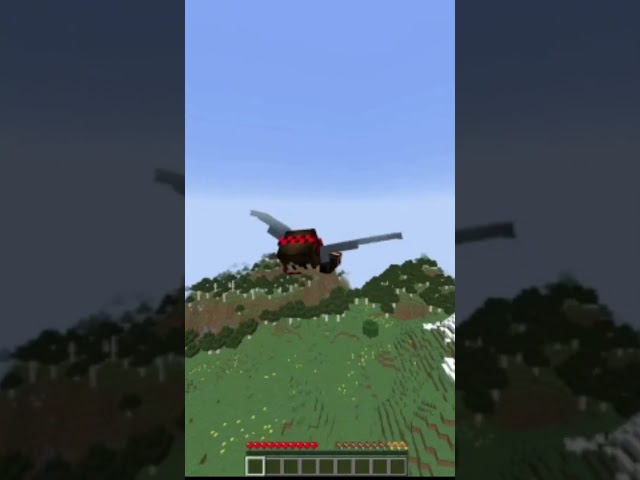 POV: It's Your First Time Using An Elytra In Minecraft #shorts  #minecraft #memes #funny # #goofy