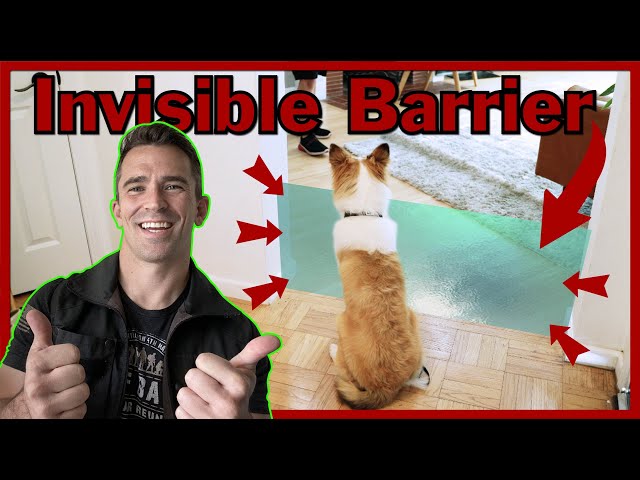 Easily and Quickly Teach Your Dog boundaries. The Invisible Barrier!