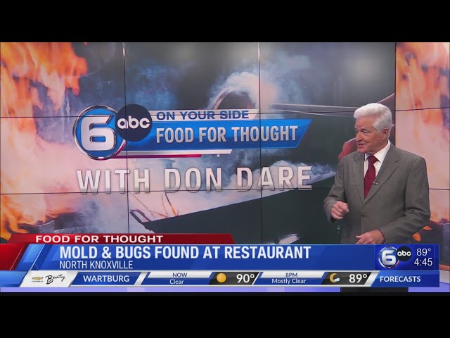 Moldy food, bugs found at North Knoxville eatery