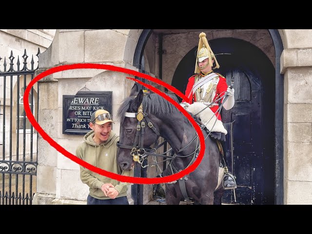 Man Disrespect the King’s Guard and ARNIE the Horse Sunk Her Teeth in His Shoulders
