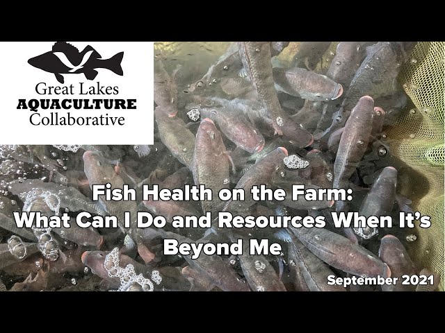 Fish Health on the Farm: What Can I Do and Resources When It’s Beyond Me September 2021