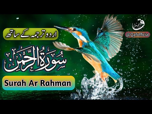 Surah Ar-Rahman (سورۃ رحمٰن) With Urdu Translation Heart Touching Voice | @qafofficial