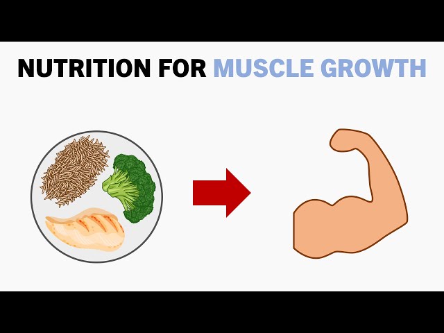 Complete Nutrition for Muscle Growth
