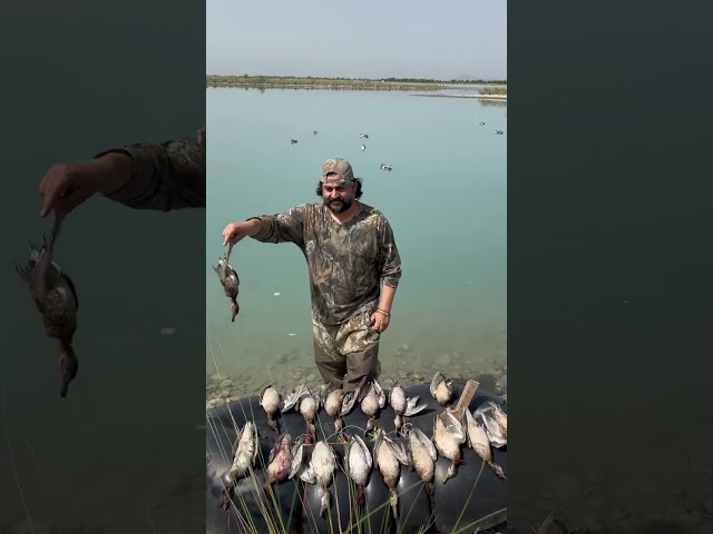 Duck hunting Pakistan 2022