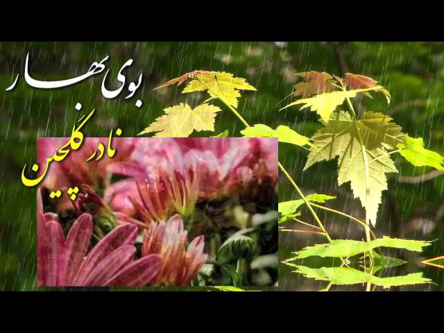 Nowruz, IRAN, نوروز فرخنده و پيروز « نادر گلچين ـ بوي بهار ـ ايران »؛