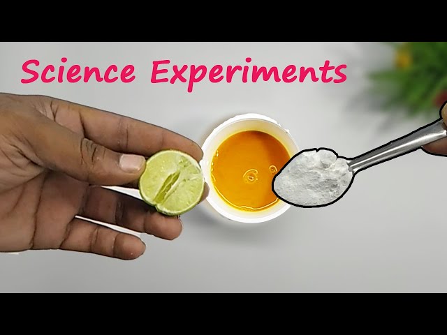 4 Easy Science Experiments to do at Home | Simple Science Experiments and School Magic Tricks