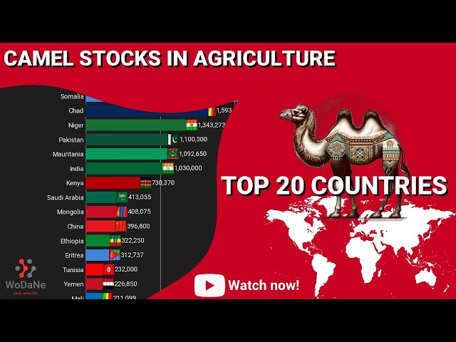TOP 20 countries by Camel Stocks in Agriculture