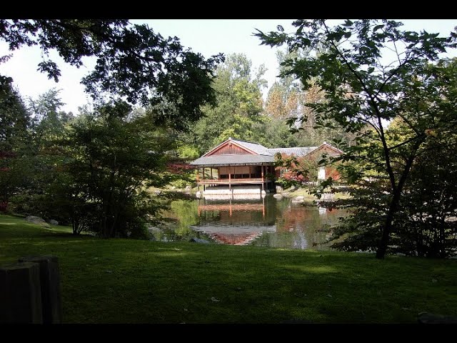 A Japanese garden Nr 38