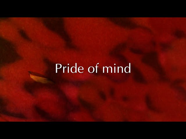 PRIDE OF MIND - Decayed