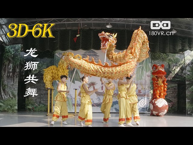 广东龙狮共舞表演 Dragon and lion dance together  VR180