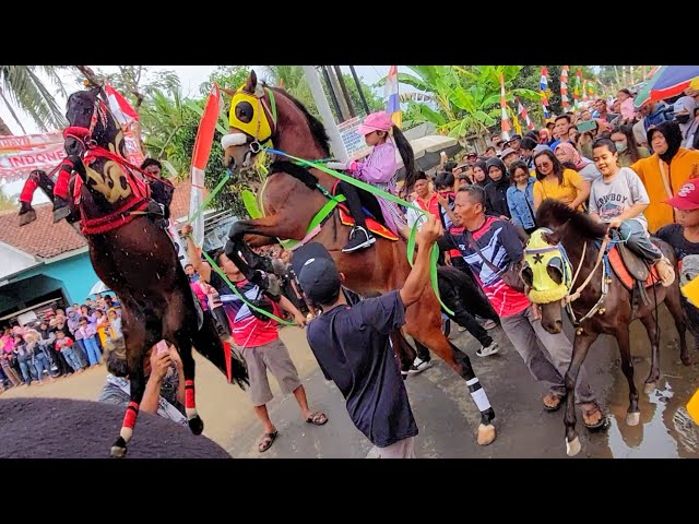 Lagu Islami Allahul Kaffi Robunal Kaffi Kuda / Kuda Delman Istimiewa / Naik Delman / Kuda Jingkrak