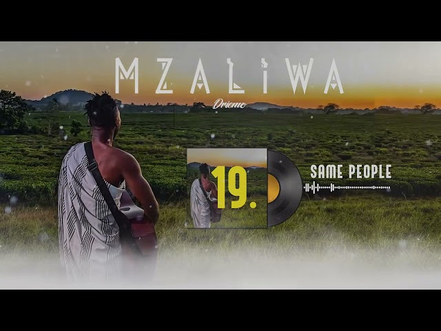DRIEMO - SAME PEOPLE(official audio visualizer) #mzaliwa #malawi #zambia #afrobeat #afrosoul
