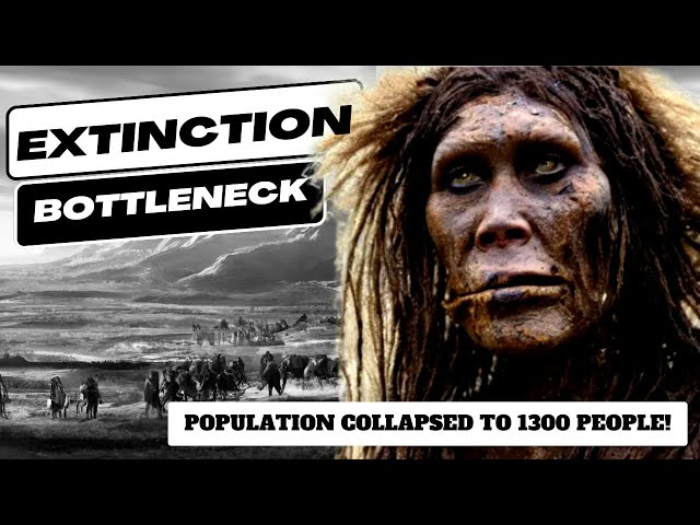99% of Ancient Human Population Wiped Out 900,000 Years Ago