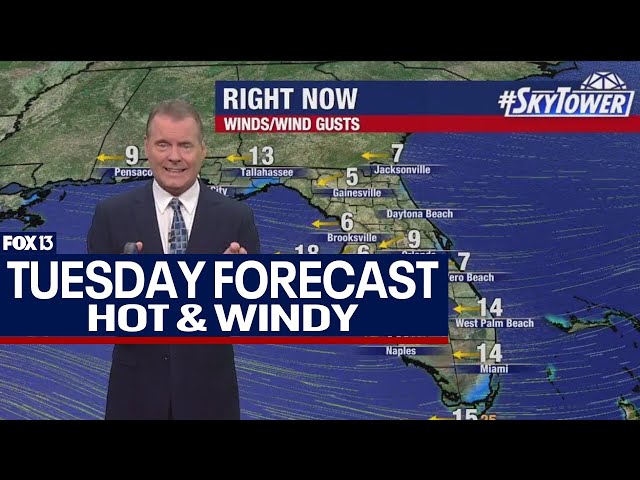 Tampa weather | Hot and windy