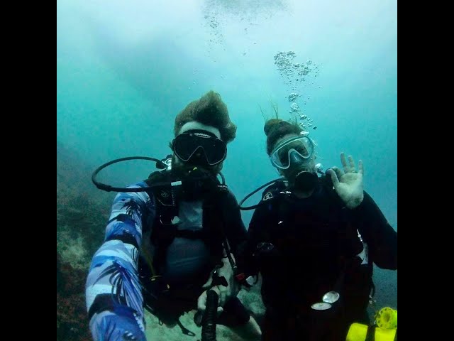 Fun dive near Mactan, Philippines. 360 4K video