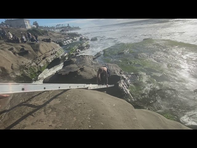 Surfer rescued cliffside with ladder at Windansea after current sweeps man into rocks