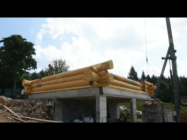 Building LOG CABIN in the Nature S2 Ep 10 – Log walls almost finished