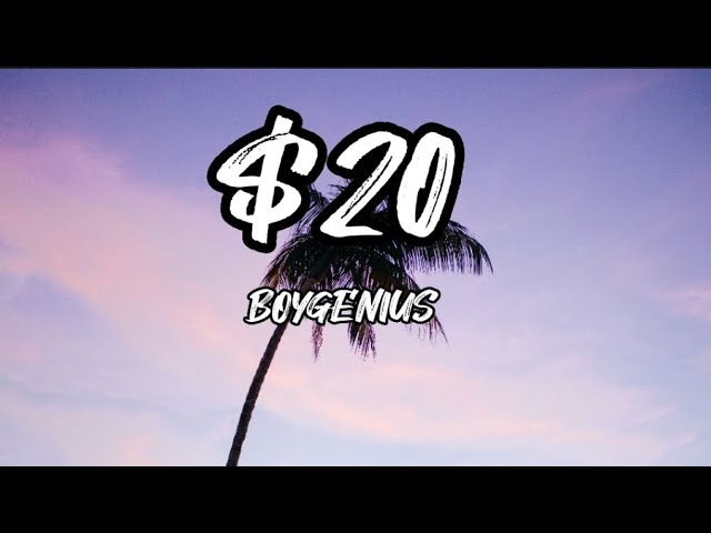 BOYGENIUS - $20 (lyrics)