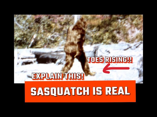 Close up of Patty’s Toes Rising from Patterson Gimlin Film #bigfoot #sasquatch #bigfootsighting