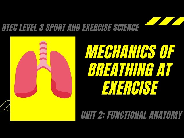 BTEC Level 3 Sport and Exercise Science: Unit 2 - Mechanics of Breathing at EXERCISE