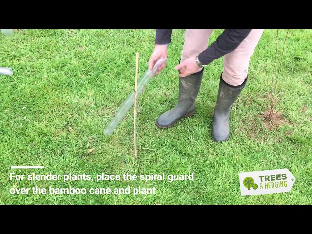 T&H HOW TO attach spiral guards and canes