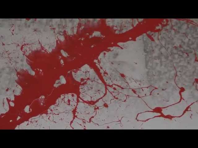 Splatter on the wall - Free Horror Stock Footage