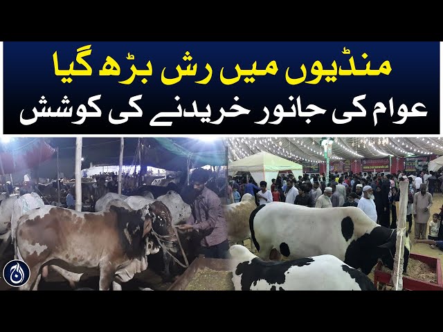 There is a rush in maweshi mandi, people trying to buy animals - Eid ul Adha 2024 - Aaj News