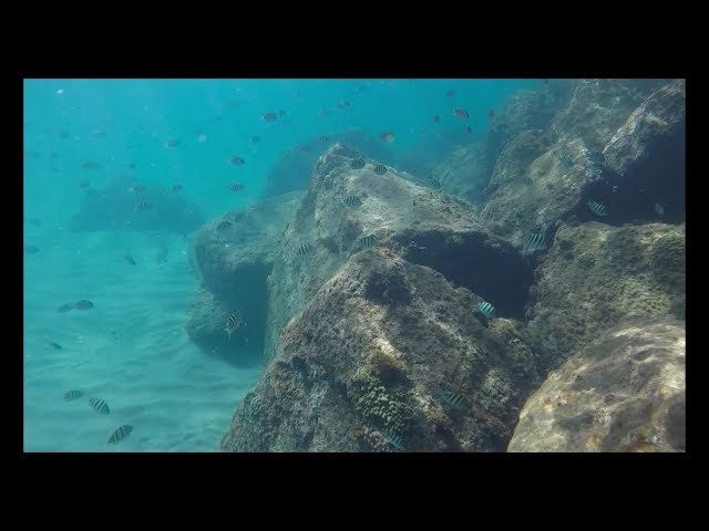 Snorkeling at South Friars Bay on the island of  St Kitts