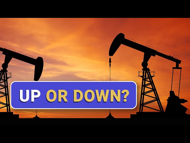 Crude Oil Prices: Ticking Time Bomb? | Macro Money