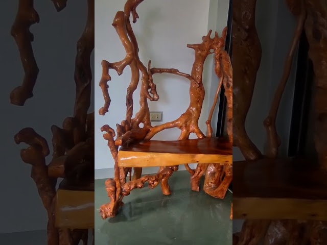 Furniture made from driftwood & roots of a tree #woodwork #furniture #driftwoodart #subscribe #viral