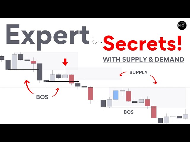 13 Years of Supply and Demand Trading Lessons in 144 Mins