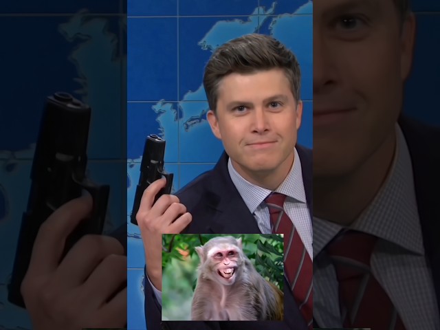 "ZOO IN ATLANTA WILL ALLOW VISITORS CAN CARRY FIREARMS" 😱🤣 COLIN JOST #shorts