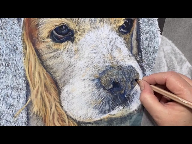 Time Lapse painting of Ollie