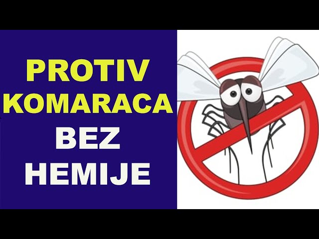 Odbranite se od NAPADA KOMARACA prirodnim sprejom od eteričnih ulja / dr Bojana Mandić