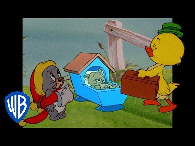 Tom & Jerry | Cutest Characters in Tom and Jerry  | Classic Cartoon Compilation | @wbkids​