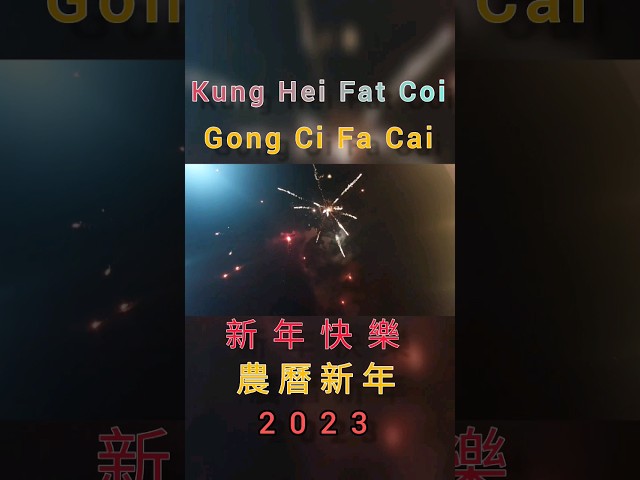Chinese Lunar New Year/Fireworks Display 2023