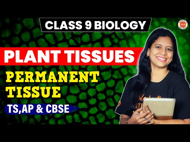 PLANT Tissues | * Permanent Tissue | Class 9 Biology| TS,AP & CBSE @VedantuTelugu8910 Sunaina