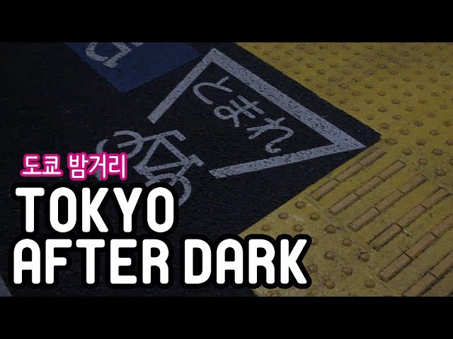 VLOG 일본 도쿄 밤거리 걷기 Trip to Tokyo, Japan! Enjoy the Sights of Tokyo After Dark